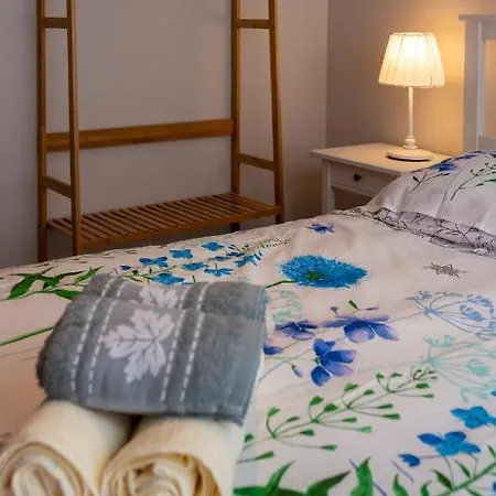 Loc Trotteur Le Fleur Des Champs F2 Cosy, Gare Sncf De * Lourdes