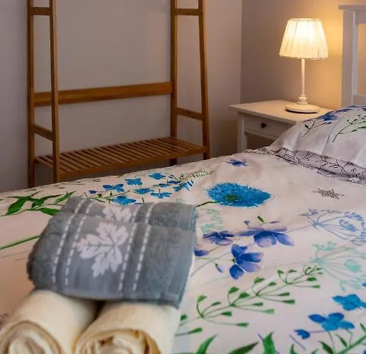 Loc Trotteur Le Fleur Des Champs F2 Cosy, Gare Sncf De * Λούρδη